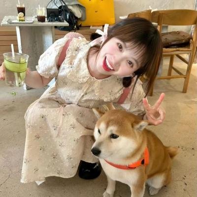 夹子救鹿